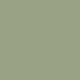 Lichen 19